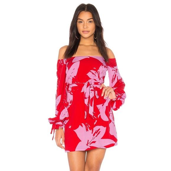 Bardot Dresses & Skirts - BARDOT Dariela Dress in Star Lily